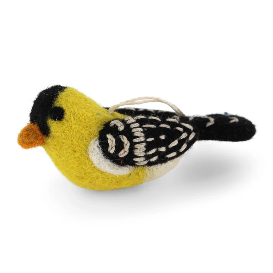 Gold Finch Bird