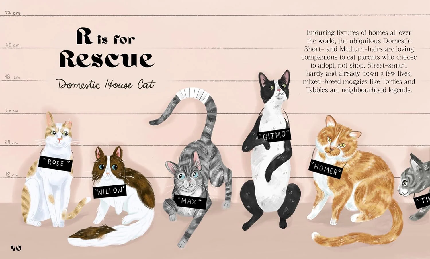 Catphabet: A whimsical celebration of our favourite feline friends - Image 3