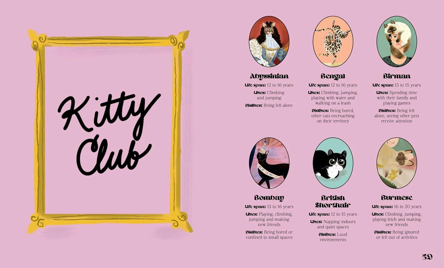 Catphabet: A whimsical celebration of our favourite feline friends - Image 4