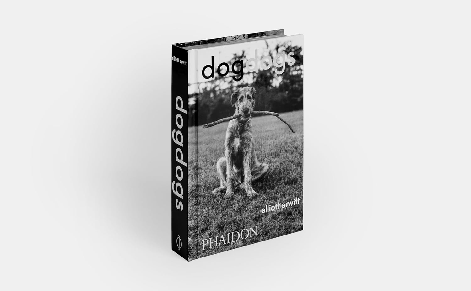 DogDogs - Image 11