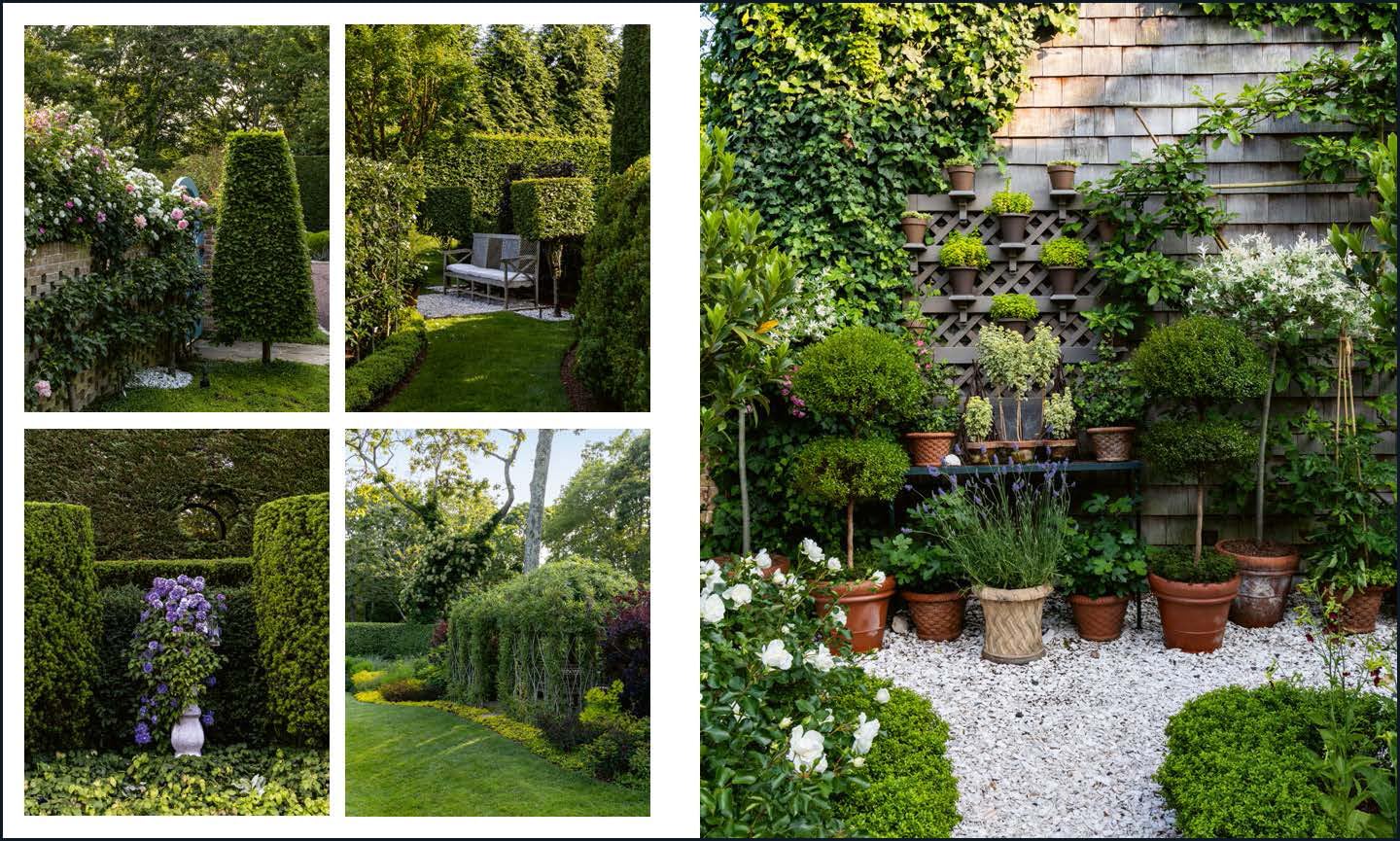 The Gardens of the Hamptons - Image 3