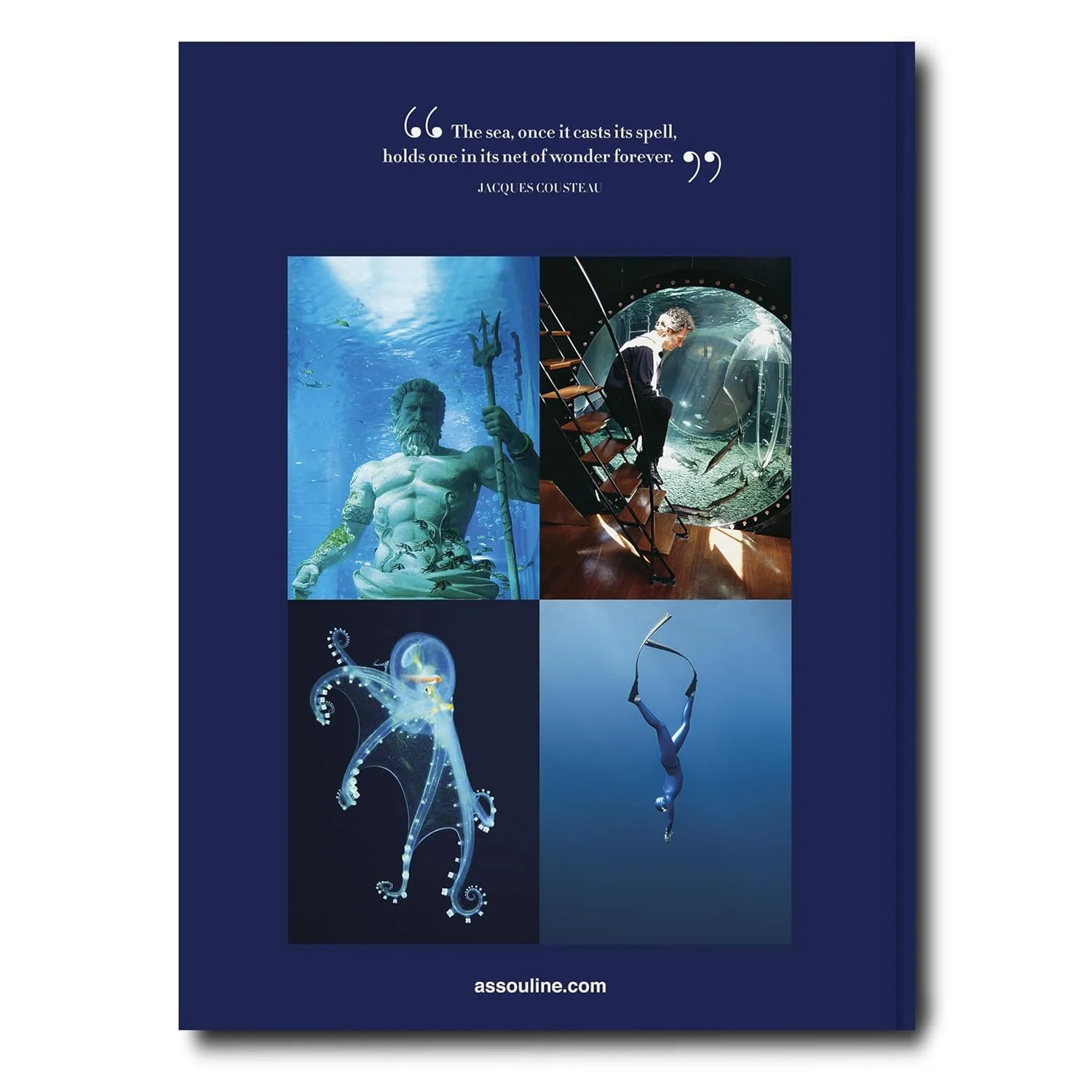 Ocean Wanderlust - Image 2